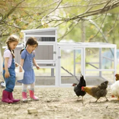 Alternative view of PETSCOSSET PET23 75''L Chicken Coop Hen House Outdoor Wooden Poultry Cage